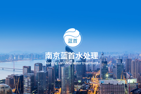 霍山建站-南京蓝首水处理设备有限公司