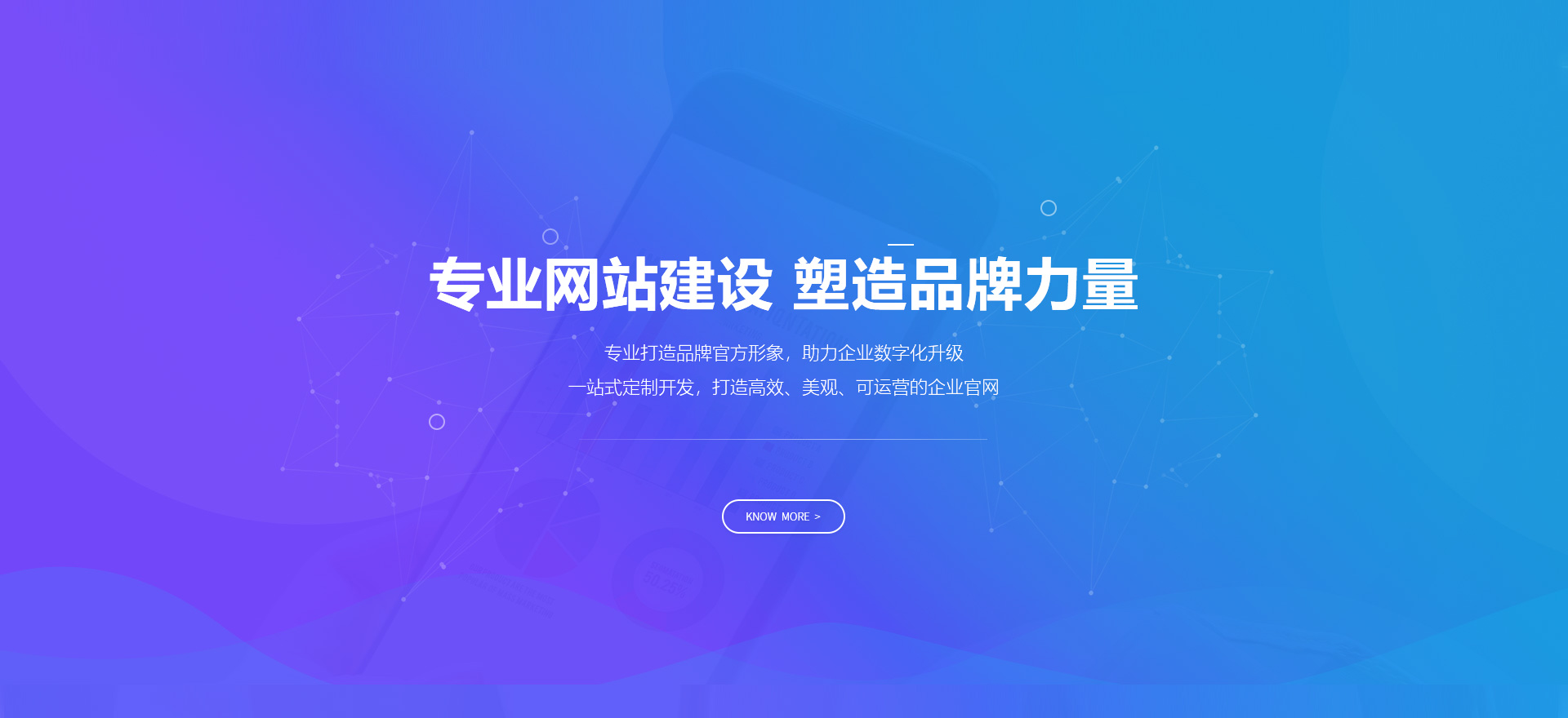 霍山建站-专业网站建设 塑造品牌力量