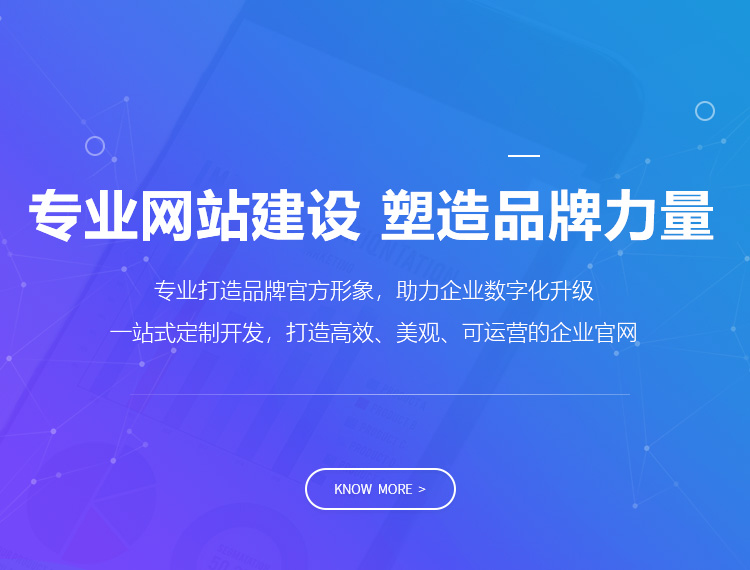 霍山建站-专业网站建设 塑造品牌力量
